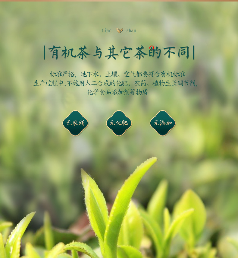 有机乌龙茶蓝罐_05.jpg