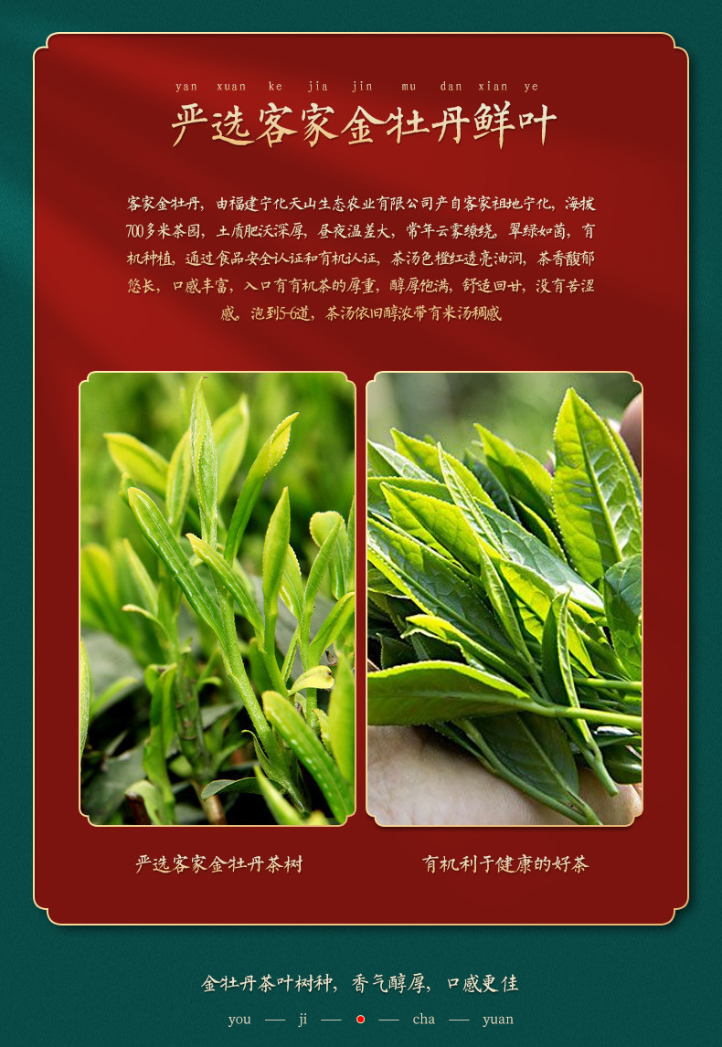 有机乌龙茶蓝罐_07.jpg
