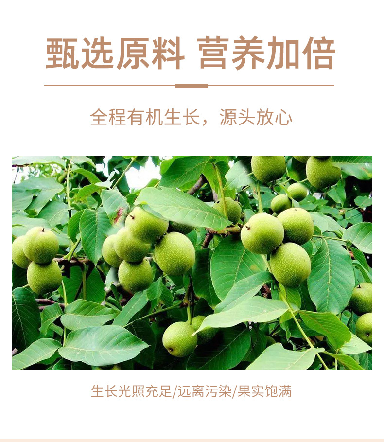 100蓝花草核桃详情_02.jpg