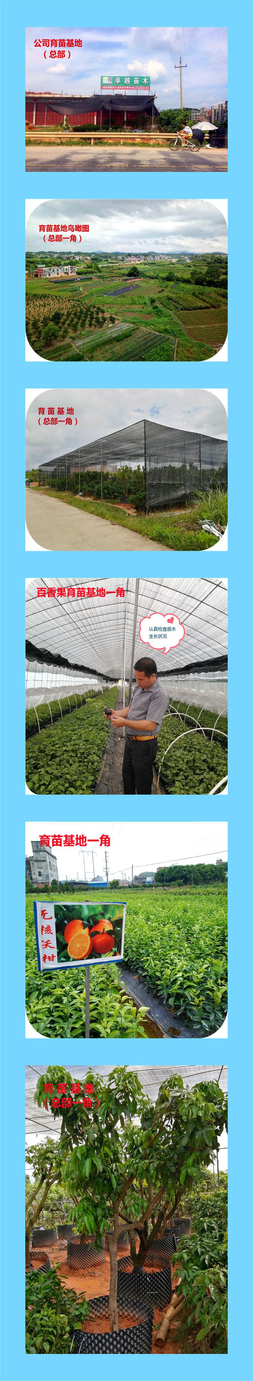 基地展示图_副本