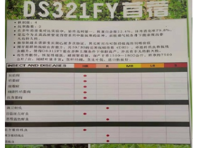 DS312FY--优质高产紫花苜蓿图2