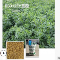 DS312FY--优质高产紫花苜蓿