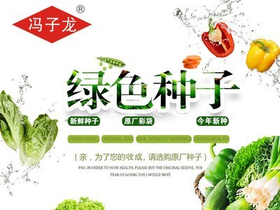 蔬菜种子直售批零庭院田地大棚种菜春秋播种 黄皮羊角椒常规品种图4