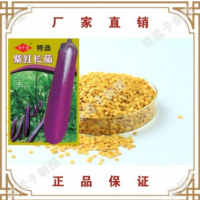 冯子龙种苗厂家直售批零大田基地大棚四季种植 常规紫红长茄种子