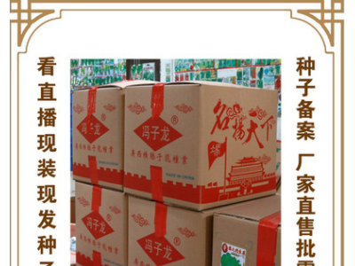冯子龙种苗厂家直售批零大田基地大棚四季种植 常规紫红长茄种子图5