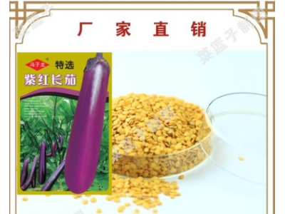 冯子龙种苗厂家直售批零大田基地大棚四季种植 常规紫红长茄种子图3