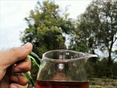老班章熟普洱 勐海乔木普洱茶 云南特产老树熟饼厂货直供实体店图4