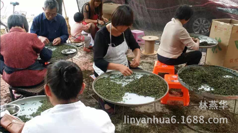 挑茶梗2