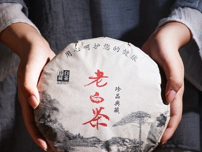 2012年福鼎白茶枣香老白茶贡眉寿眉高山白茶饼礼盒装357g茶叶批发图4