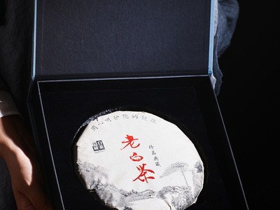 2012年福鼎白茶枣香老白茶贡眉寿眉高山白茶饼礼盒装357g茶叶批发图3
