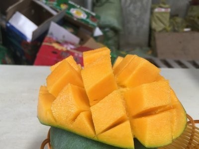 【一手】四川攀枝花凯特芒果新鲜大芒果香甜肉厚产地直发新鲜水果图2