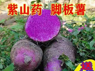 新鲜现挖 赣南紫山药 紫玉淮山脚板薯 紫淮山 大薯 毛薯 顺丰包邮图2