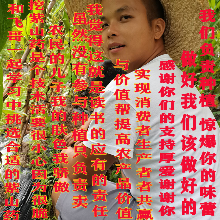 主图3