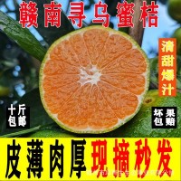 江西赣南寻乌蜜桔橘子新鲜水果现採现发无核无籽5斤10斤