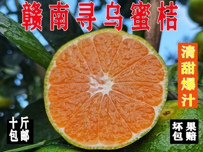 江西赣南寻乌蜜桔橘子新鲜水果现採现发无核无籽5斤10斤图5