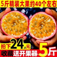 赣南百香果10斤新鲜水果特级大果一级白香果当季整箱现摘包邮5甜