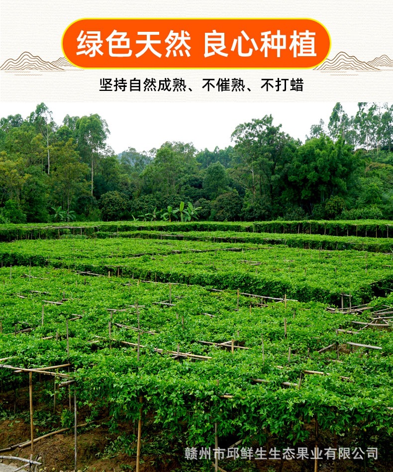 微信图片_20210930192357.jpg