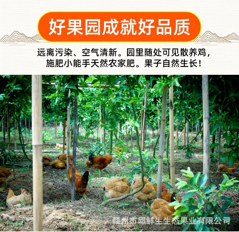 微信图片_20210930192403.jpg