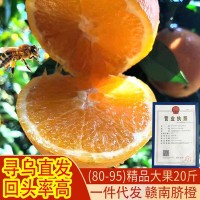 江西赣南脐橙10斤20斤5斤大果一件代发赣州寻乌直发新鲜橙子批发