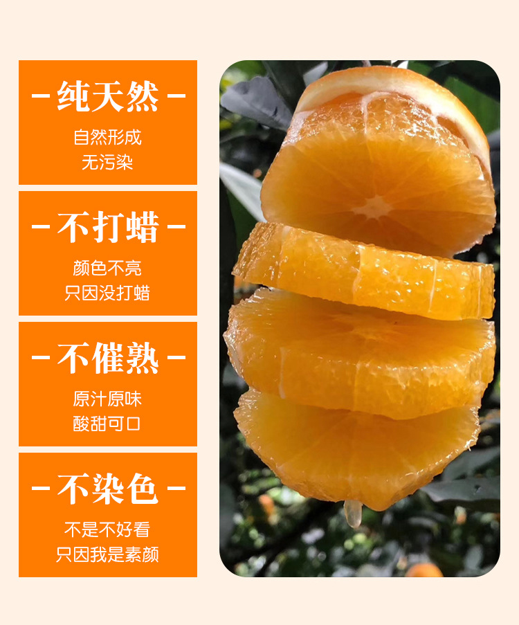 详6.jpg