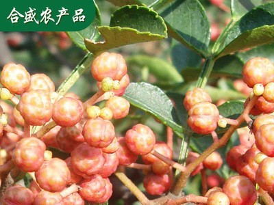 产地供应做出口级花椒 花椒 出口花椒 大红袍花椒图2