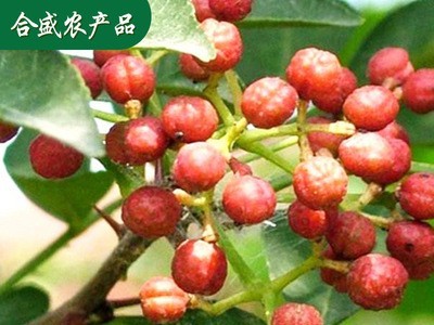 产地供应做出口级花椒 花椒 出口花椒 大红袍花椒图3