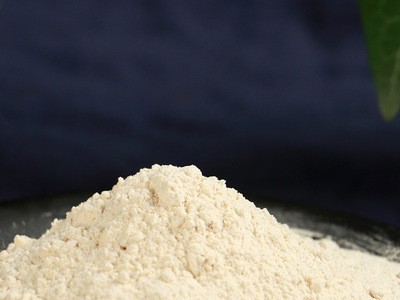 厂家供货大蒜粉1千克 食用蒜粉腌制料烧烤蒜头粉撒料香蒜调味粉图4