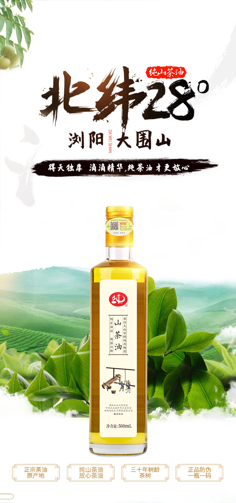 （纯）茶油500mL_01