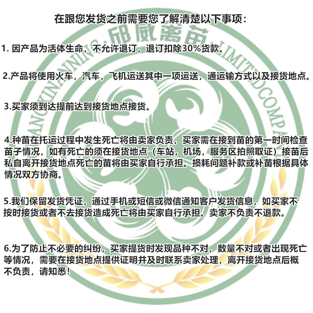 微信图片_20190606100916