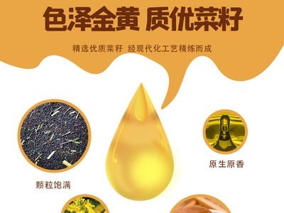 厂家直供 瓶装菜籽油 食用油 浓香初榨纯菜籽油 餐饮烹饪菜油图4