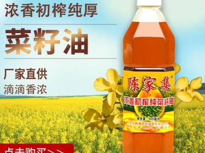 厂家直供 瓶装菜籽油 食用油 浓香初榨纯菜籽油 餐饮烹饪菜油图2
