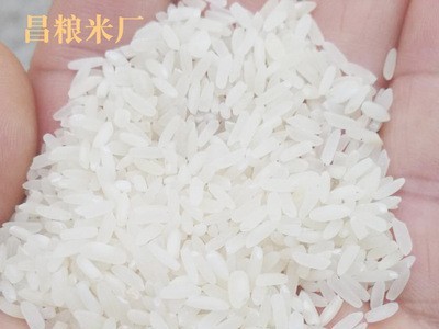 厂家直销2018新品优质香米 口感香软 无污染香米 价格实惠图5