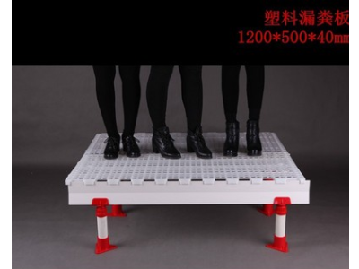 批发定制漏粪板 养鸡塑料漏粪板 畜牧养殖漏粪地板1200*500*40mm图2