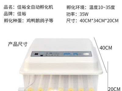 家用小型孵化器全自动小鸡孵蛋器迷你智能孵化机外贸孵蛋机定制图5