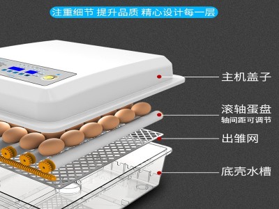 家用小型孵化器全自动小鸡孵蛋器迷你智能孵化机外贸孵蛋机定制图3