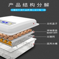 家用小型孵化器全自动小鸡孵蛋器迷你智能孵化机外贸孵蛋机定制
