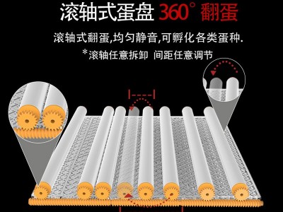 家用小型孵化器全自动小鸡孵蛋器迷你智能孵化机外贸孵蛋机定制图4