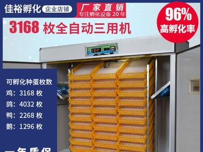 佳裕1056枚中型孵化机 家用孵化器智能孵蛋器鸡鸭鹅孵化箱厂家图4