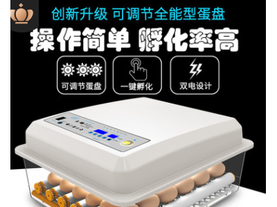 小鸡孵化器小型家用智能孵化机跨境迷你鸡蛋孵蛋器孵蛋机工厂批发图2