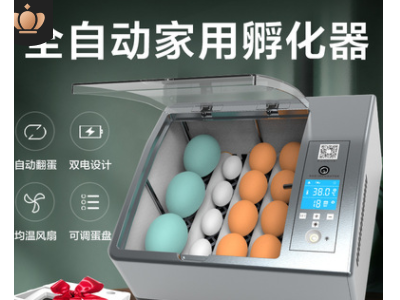 小鸡孵化器小型家用智能孵化机跨境迷你鸡蛋孵蛋器孵蛋机工厂批发图3