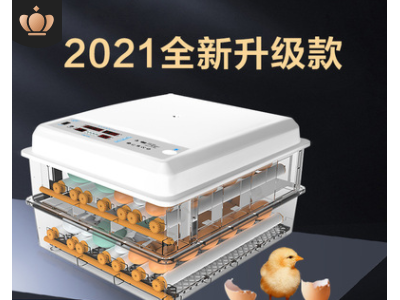小鸡孵化器小型家用智能孵化机跨境迷你鸡蛋孵蛋器孵蛋机工厂批发图4