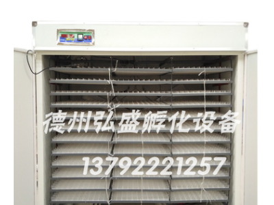 供应4224/5280/6336枚中型全自动孵化机孵蛋器孵化箱设备图4