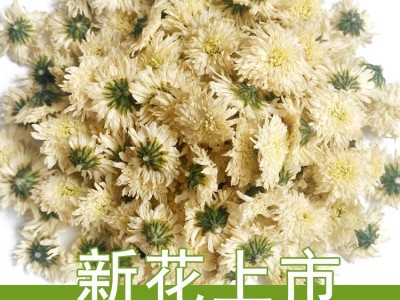安徽白菊花茶散装厂家批发七月菊产地货源黄山贡菊花新花贴牌加工图4