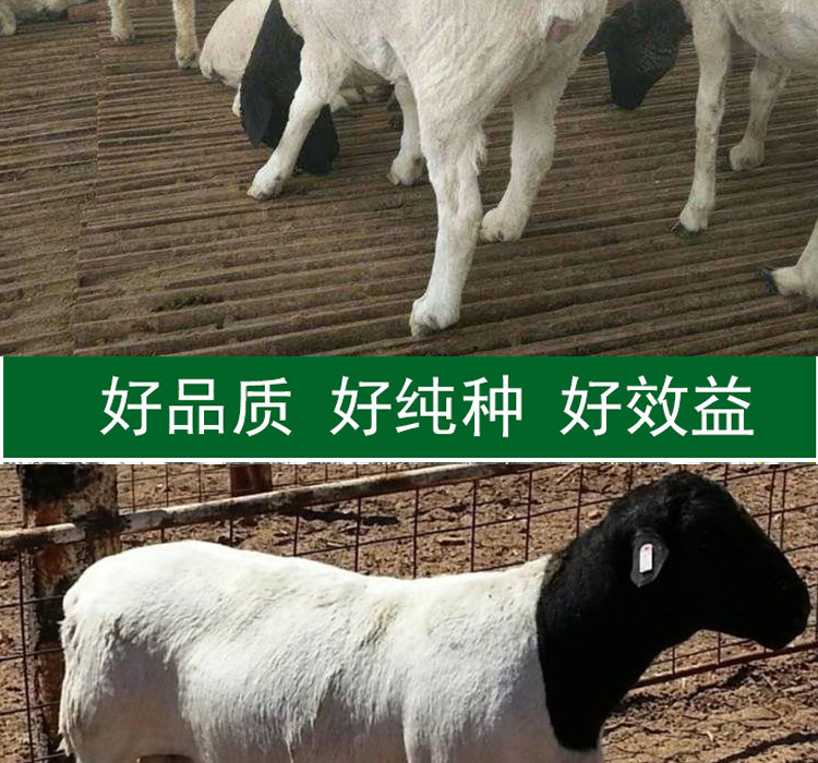 详情页1_06