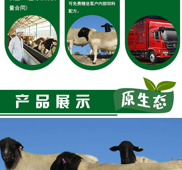 详情页1_04