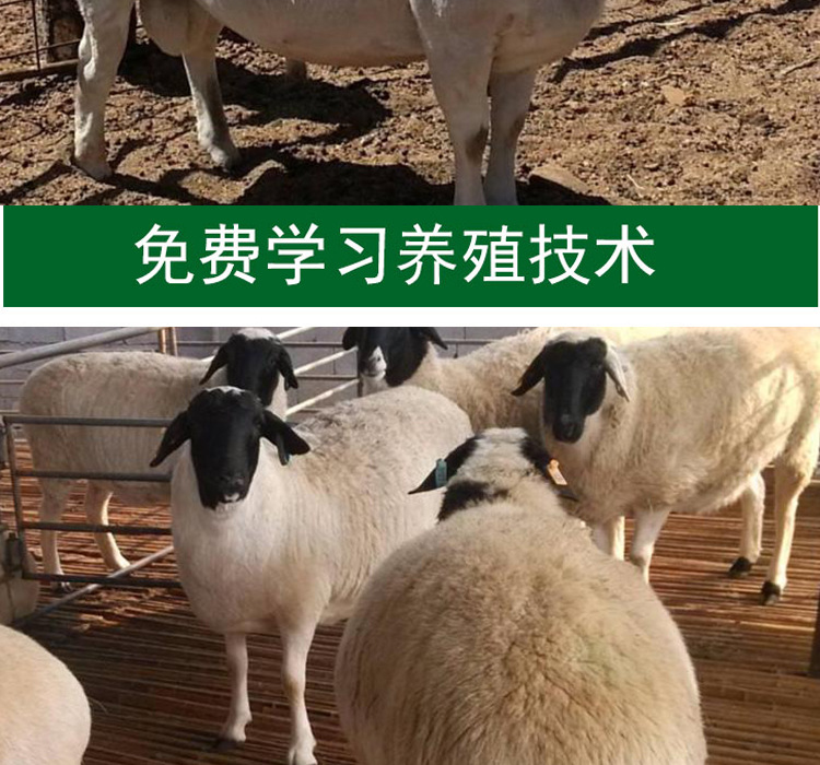 详情页1_07