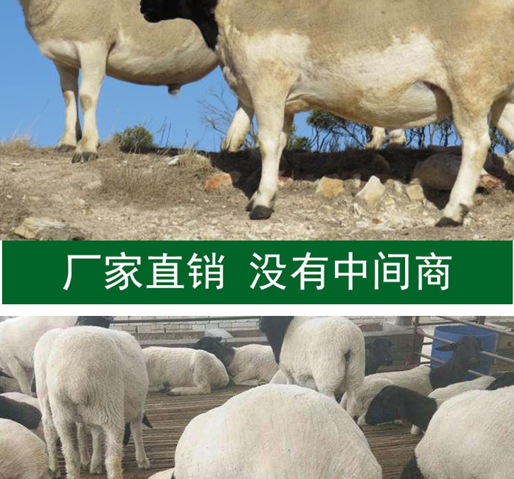 详情页1_05
