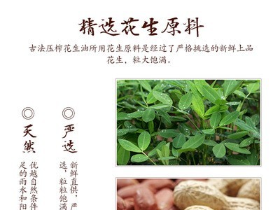 工厂直发 纯正压榨浓香花生油5L浓香纯植物油食用油5l批发贴牌图3