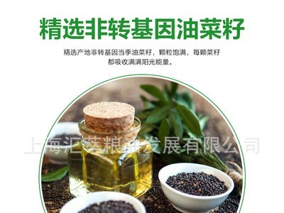 石库门 浓香菜籽油5L 纯菜油食用油植物油5升 批发工厂直发图3