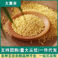 大黄米黏黄米500g黍子糯小米粥农家五谷杂粮